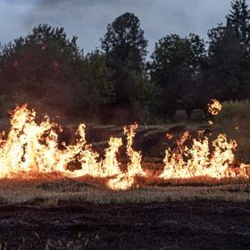 Burning of Biomass
